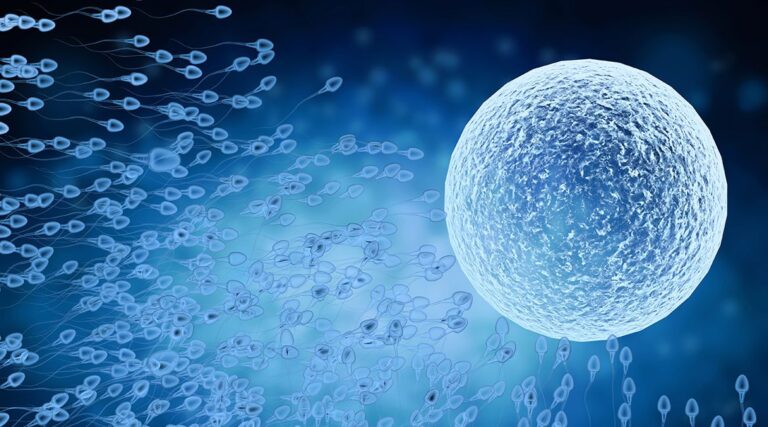 Inseminazione intrauterina, i primi passi della PMA
